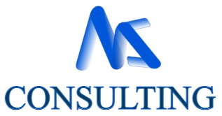 MS Consulting